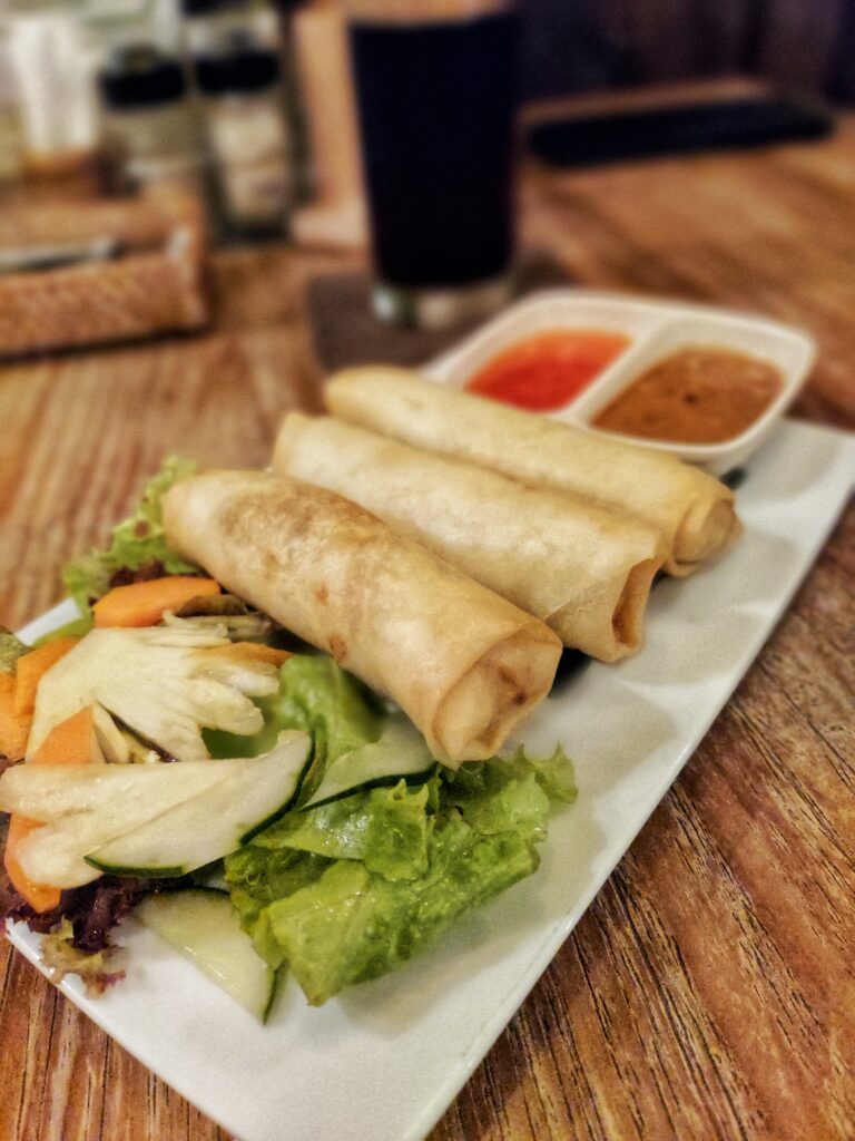 Vegetable Spring Rolls