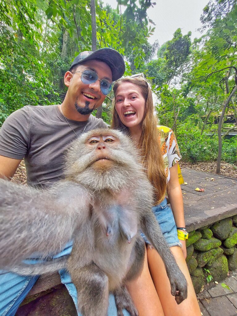 Sacred Monkey Forest Ubud Bali