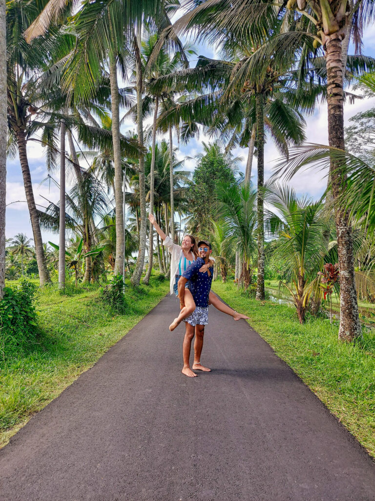 Palm Trees Ubud Bali