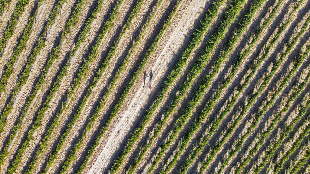 Barossa Valley, Australia