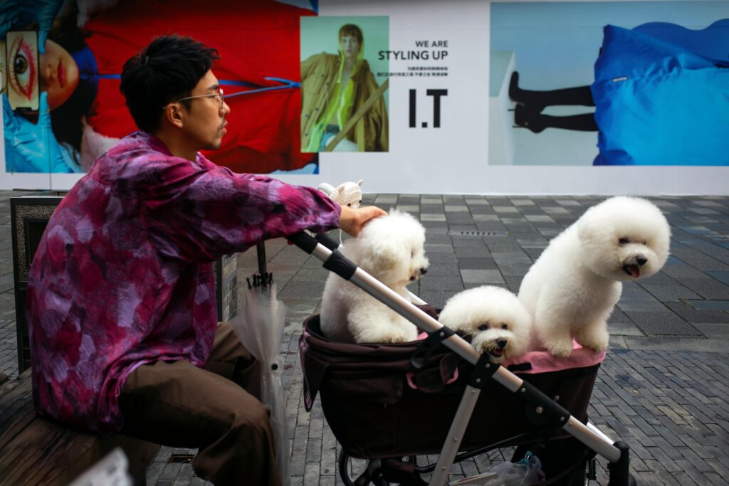 Xintiandi, Shanghai with a dog