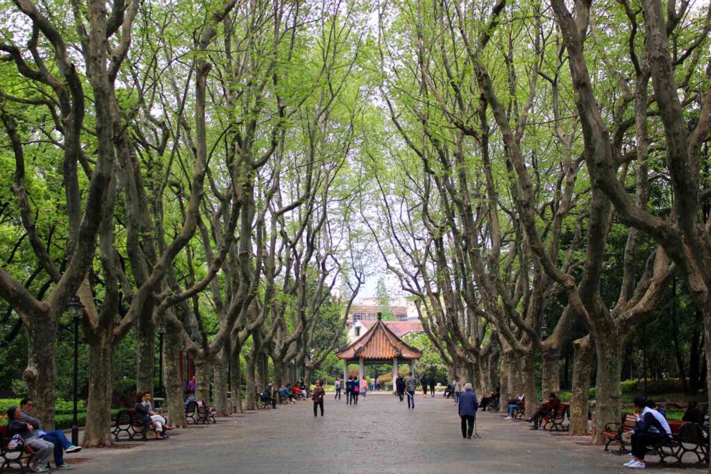 French Concession, Shanghai